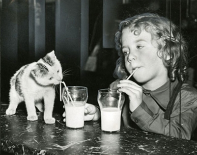 girl-and-kitten-drinking-from-straws